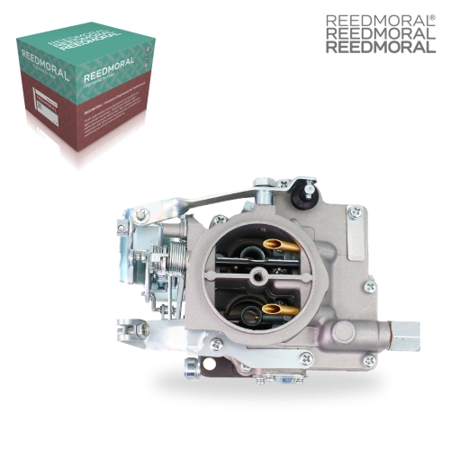 LDH217A REEDMORAL Carburetor Assembly 21100-24034/35/45 H 4255 product angle 2