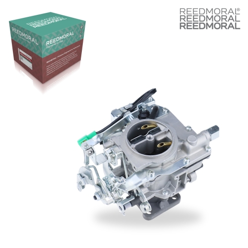 LDH217B REEDMORAL Carburetor Assembly 21100-13170 product angle 1