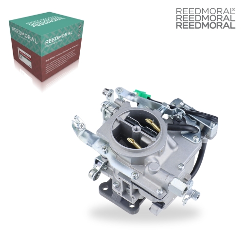 LDH217B REEDMORAL Carburetor Assembly 21100-13170 product angle 2