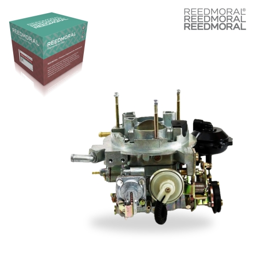 LDH219B REEDMORAL Carburetor Assembly 495.214.01 main view