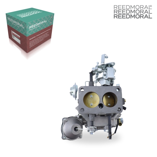 LDH223A REEDMORAL Carburetor Assembly 21100-61010 product angle 2