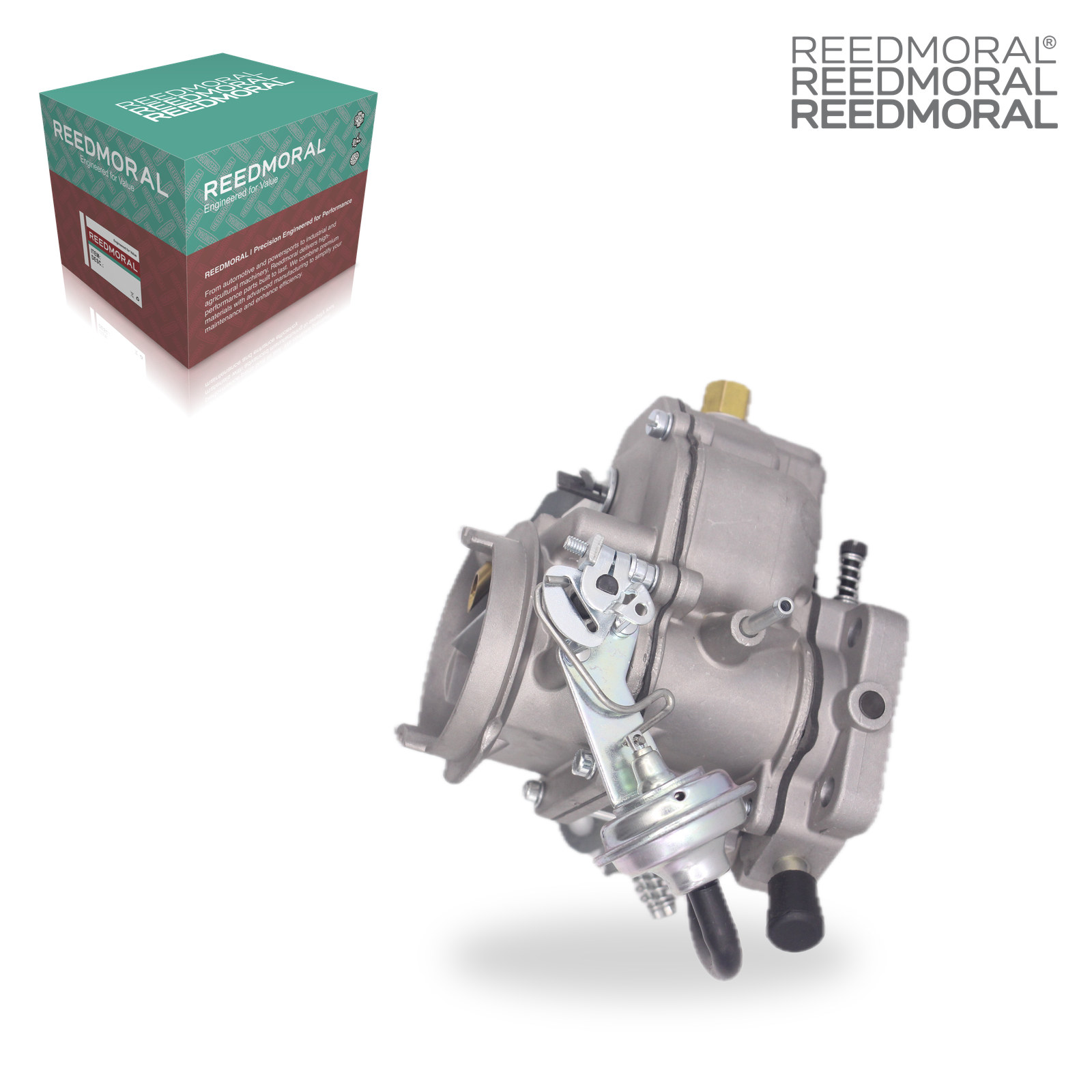 LDH225 REEDMORAL Carburetor Assembly 4113 4939 CVZ318EXT product angle 7