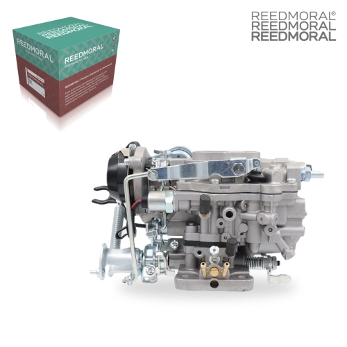 LDH227E REEDMORAL Carburetor Assembly 21100-73400 product angle 2