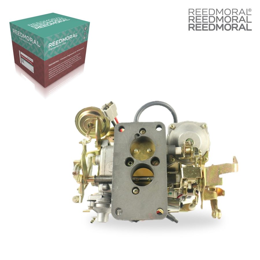 LDH234A-1 REEDMORAL Carburetor Assembly 21100-28071 main view
