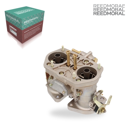 LDH250AA REEDMORAL Carburetor Assembly 18990.03 product angle 2
