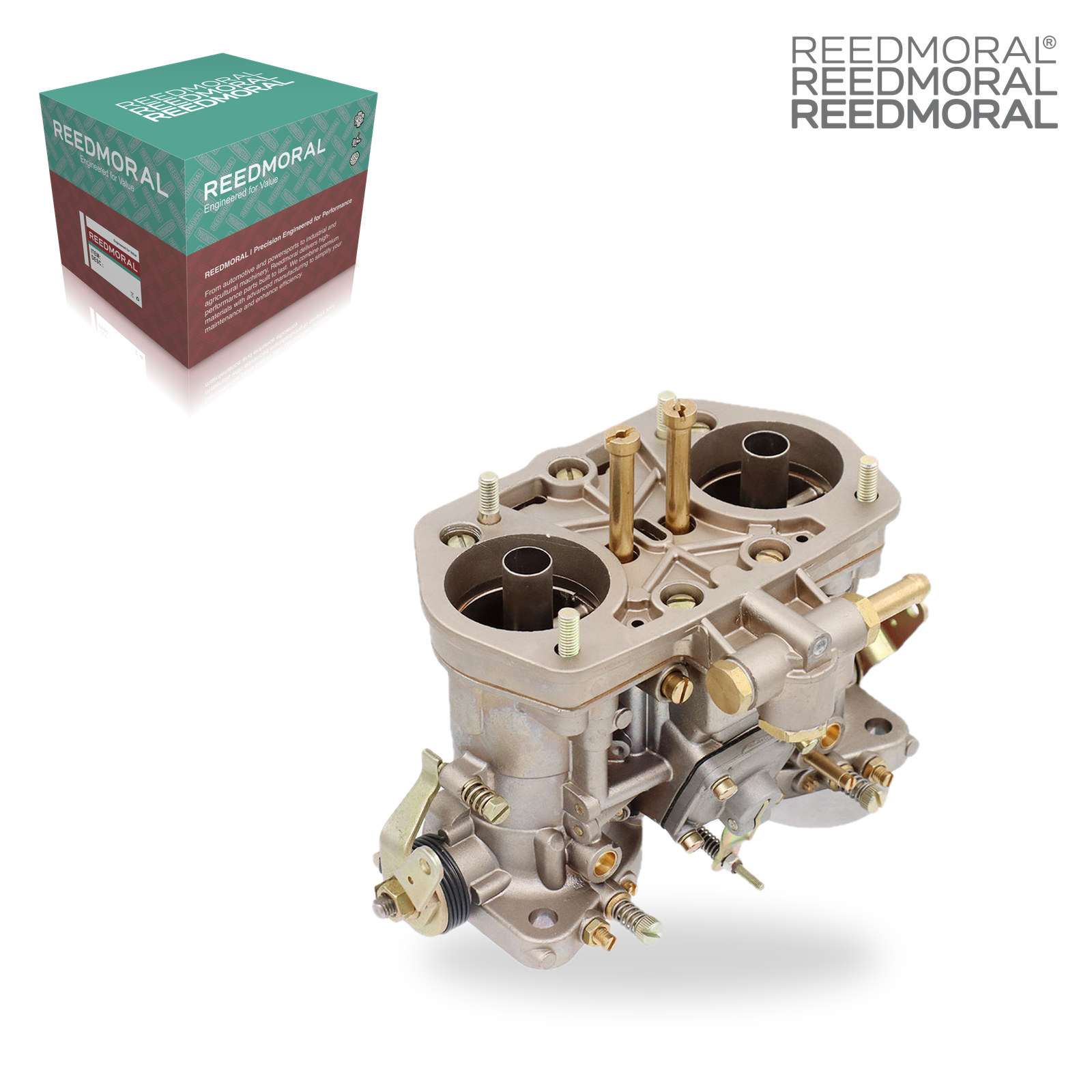 LDH250AA REEDMORAL Carburetor Assembly 18990.03 product angle 4