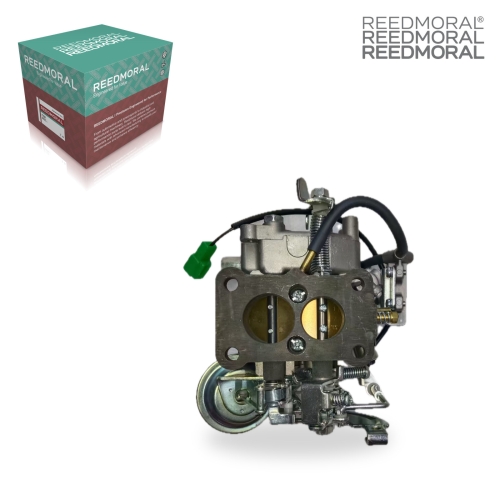 LDH253A REEDMORAL Carburetor Assembly 21110-H6650 product angle 2