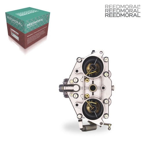 LDH261A REEDMORAL Carburetor Assembly 616.108.103.01 40 PII-4 product angle 1
