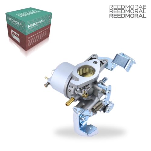 LDH8005 REEDMORAL Carburetor Assembly LDH8005 detail view 2