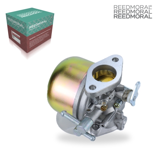 LDH8006 REEDMORAL Carburetor Assembly LDH8006 detail view 2