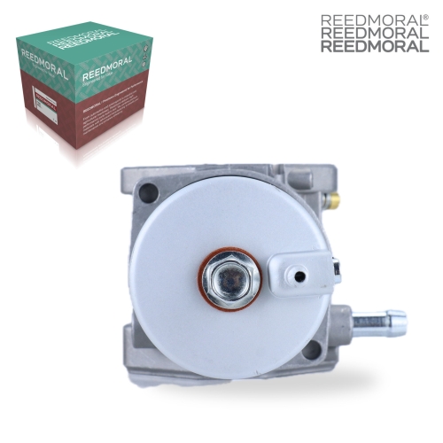 LDH8007 REEDMORAL Carburetor Assembly LDH8007 detail view 2