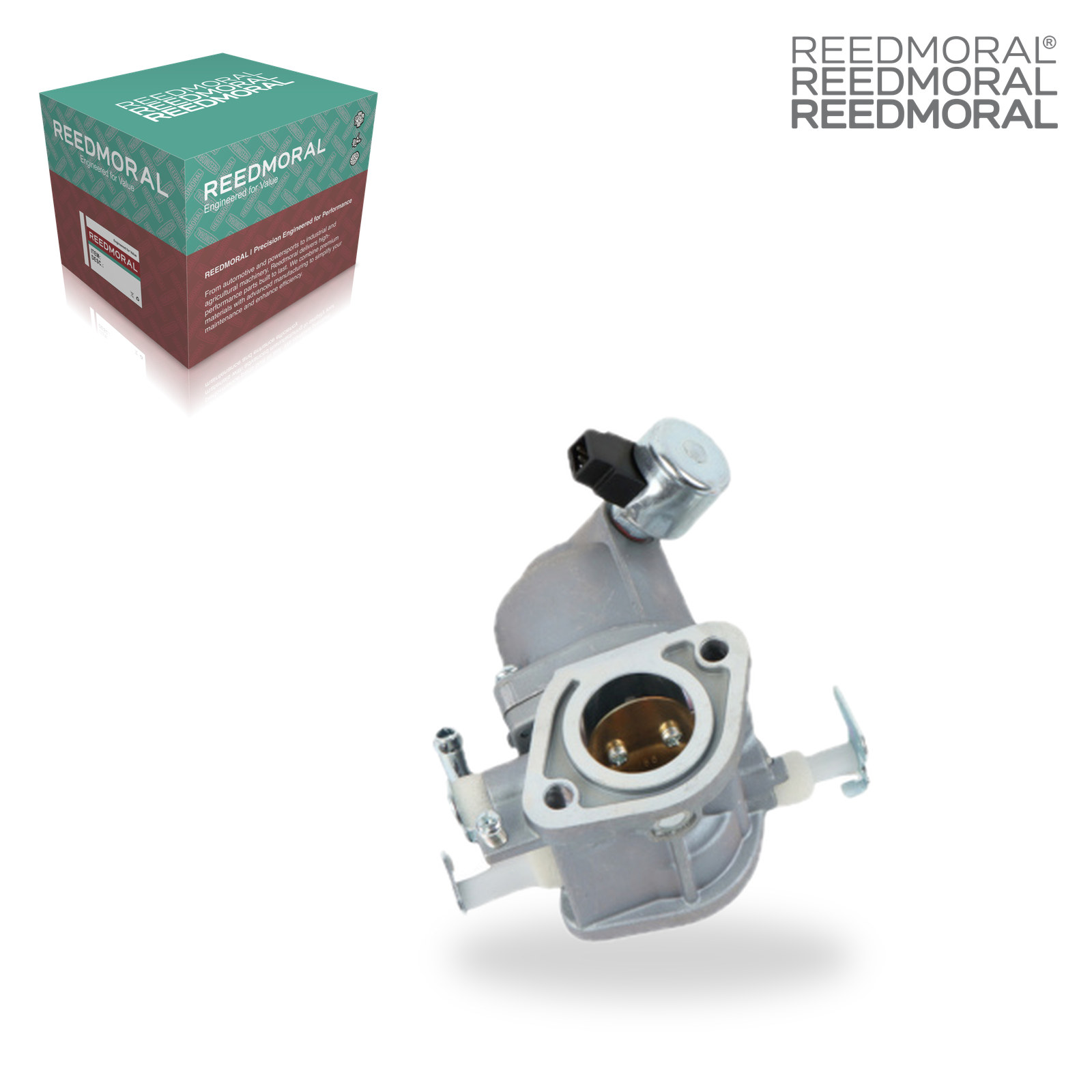 LDH8009 REEDMORAL Carburetor Assembly 40N777 40N877 594207 main view