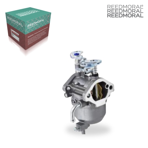 LDH8010 REEDMORAL Carburetor Assembly 15003-2943 main view
