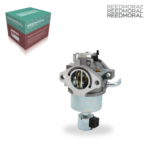 LDH8011 REEDMORAL Carburetor Assembly 594605 main view