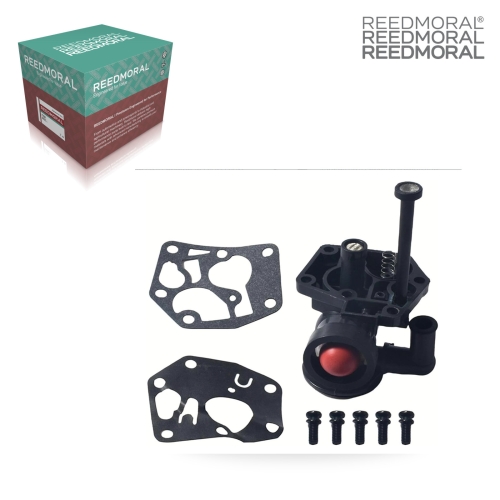 LDH8025 REEDMORAL Carburetor Service Kit 498809 main view