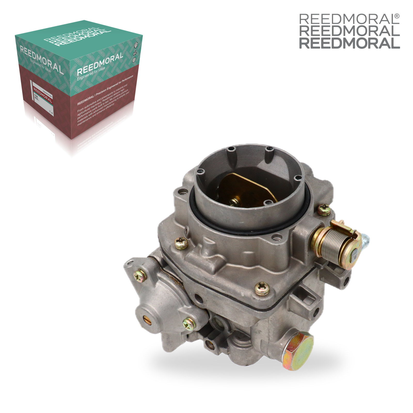 LDH802A REEDMORAL Carburetor Assembly P220V & P248V 6100 product angle 6