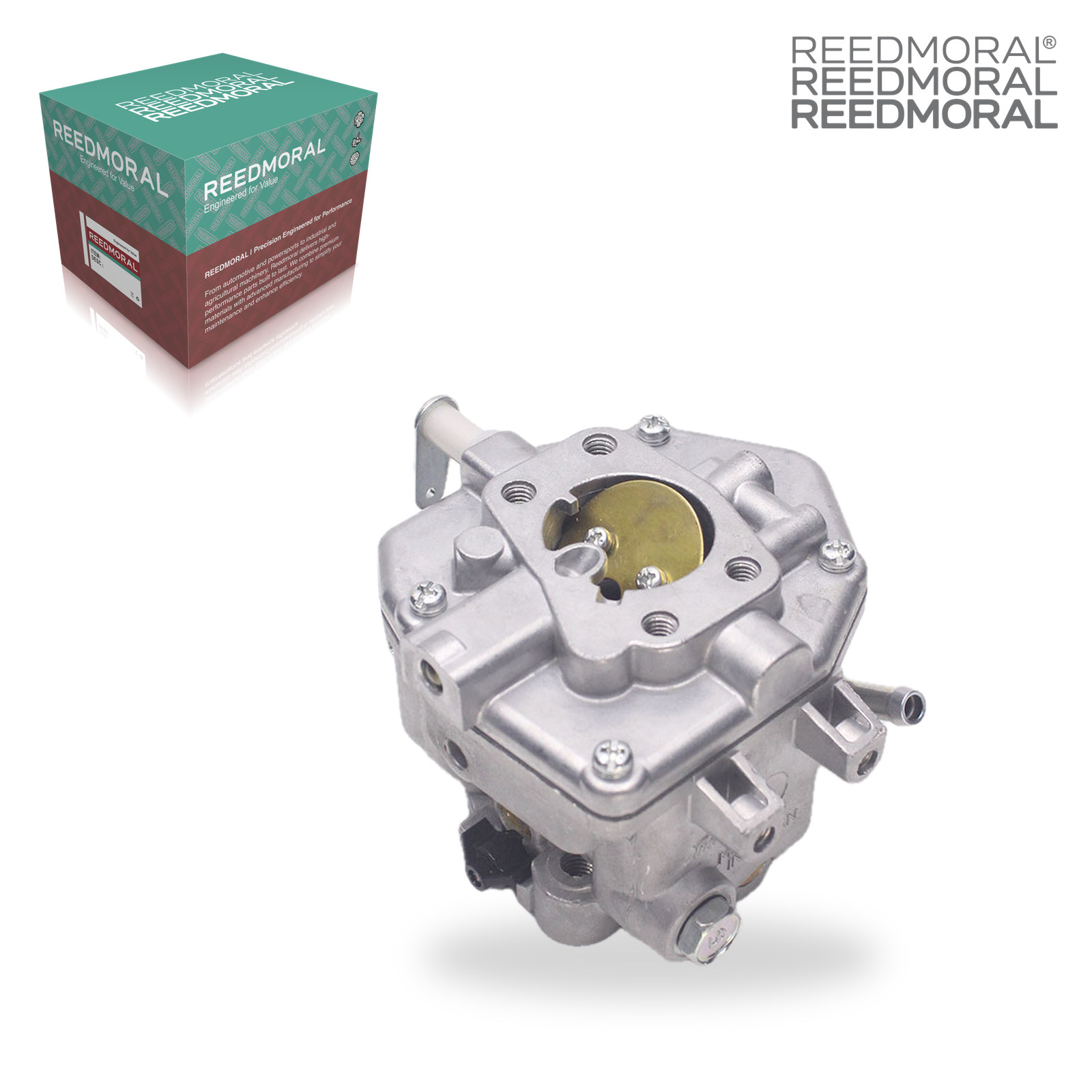 LDH802C REEDMORAL Carburetor Assembly 809011 product angle 6