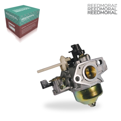 LDH843 REEDMORAL Carburetor Assembly 520-734 product angle 1