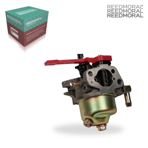 LDH846 REEDMORAL Carburetor Assembly 520-850 product angle 1