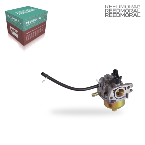 LDH850 REEDMORAL Carburetor Assembly 520-866 product angle 1