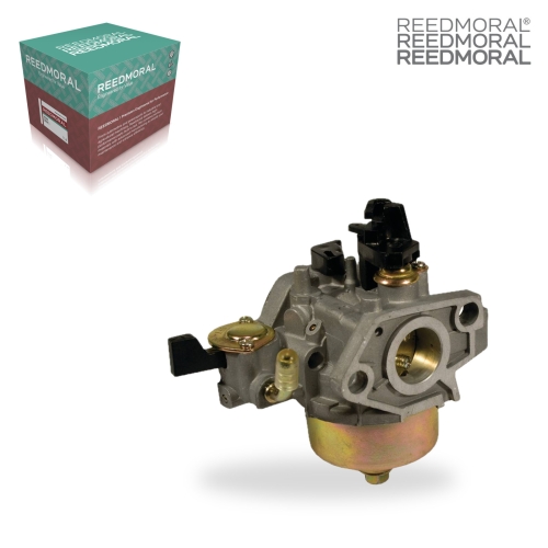LDH856 REEDMORAL Carburetor Assembly 520-730 product angle 1