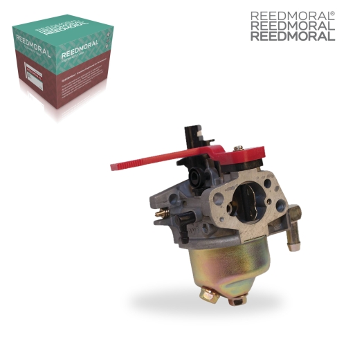 LDH859 REEDMORAL Carburetor Assembly 520-860 product angle 1