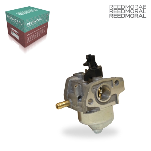 LDH861 REEDMORAL Carburetor Assembly 520-708 product angle 1