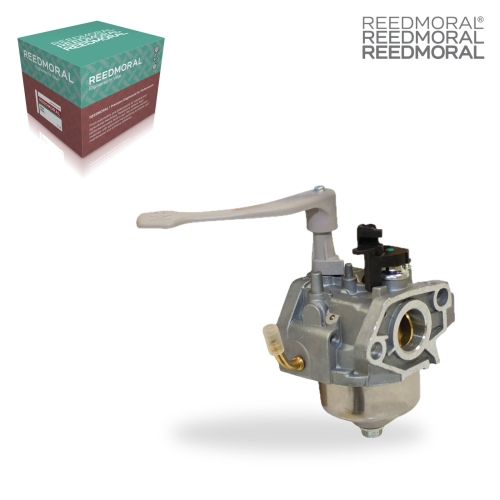LDH862 REEDMORAL Carburetor Assembly 520-870 product angle 1