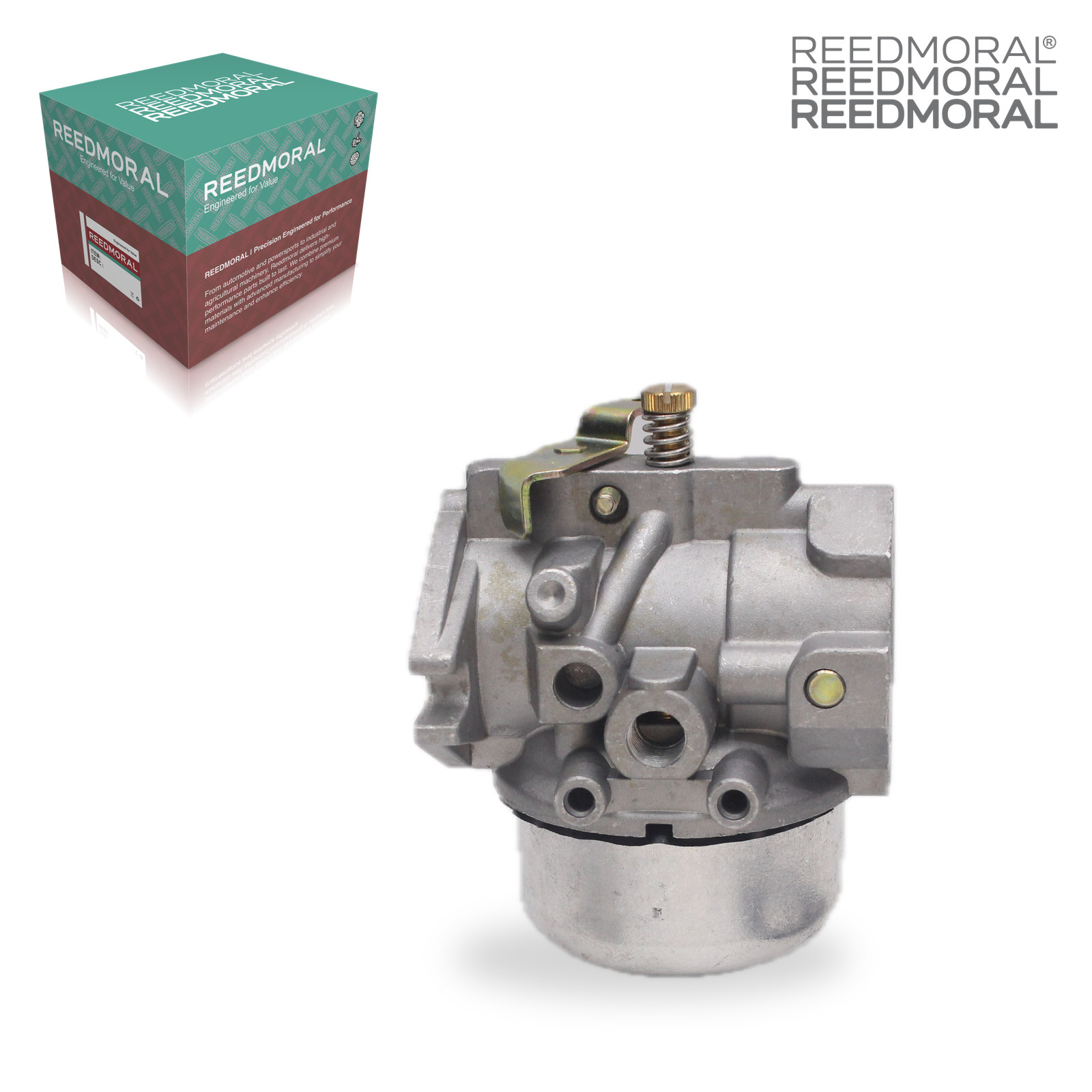 LDH869 REEDMORAL Carburetor Assembly 5205309 product angle 7