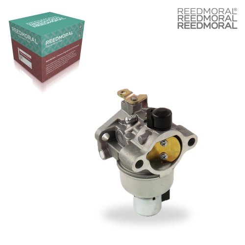 LDH875 REEDMORAL Carburetor Assembly 12 853 81 product angle 1