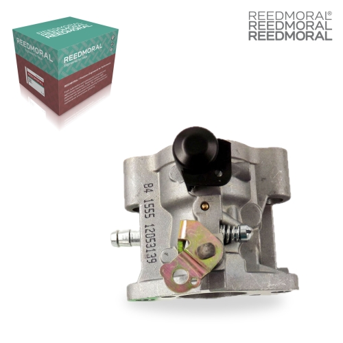LDH876 REEDMORAL Carburetor Assembly 12-853-82-S product angle 1