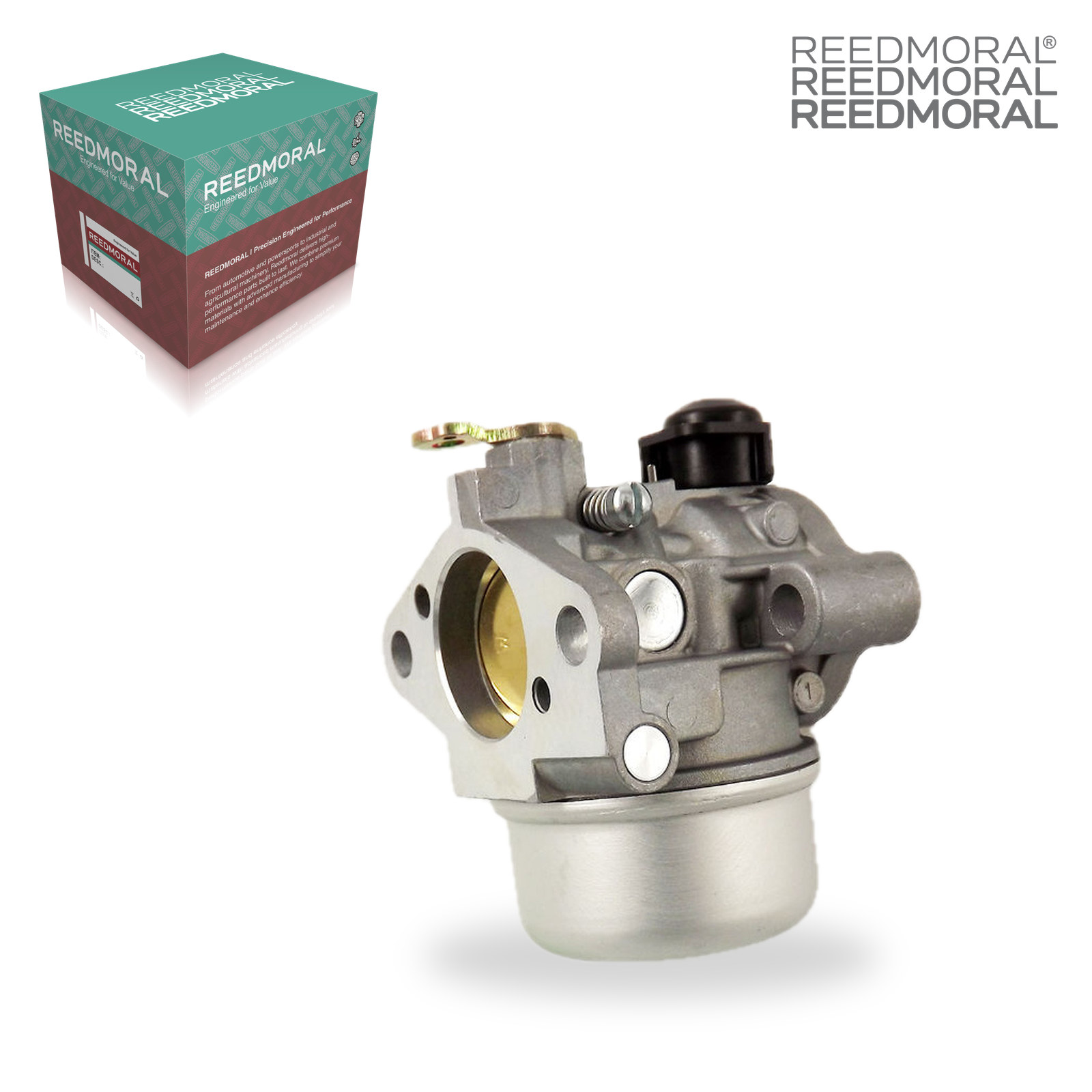 LDH876 REEDMORAL Carburetor Assembly 12-853-82-S product angle 7