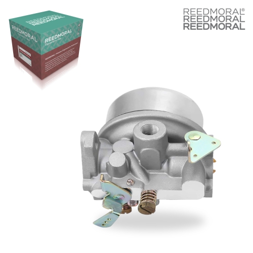LDH878 REEDMORAL Carburetor Assembly 4185308 product angle 1