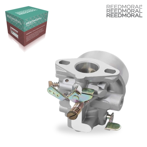 LDH878 REEDMORAL Carburetor Assembly 4185308 product angle 2