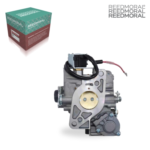 LDH892A REEDMORAL Carburetor Assembly 24 853 91-S main view