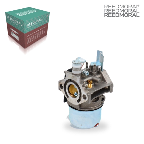 LDH896 REEDMORAL Carburetor Assembly LDH896 main view