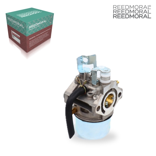 LDH896 REEDMORAL Carburetor Assembly LDH896 detail view 2