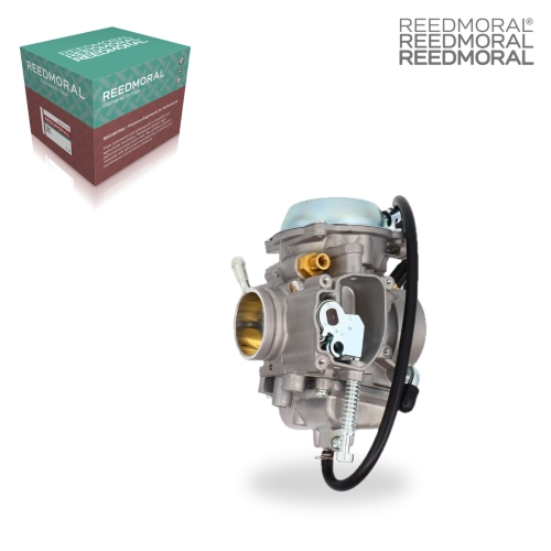 LDH903A REEDMORAL Carburetor Assembly WITH PIN 1999-2000 product angle 1