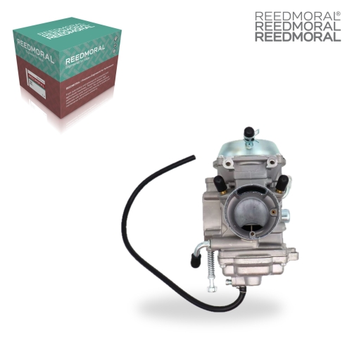 LDH903A REEDMORAL Carburetor Assembly WITH PIN 1999-2000 product angle 2