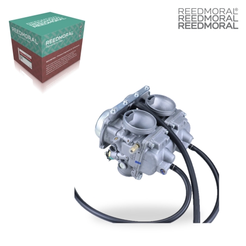 LDH916 REEDMORAL Carburetor Assembly Carburador Para Motor 2 Pistones Dinamo Original product angle 2