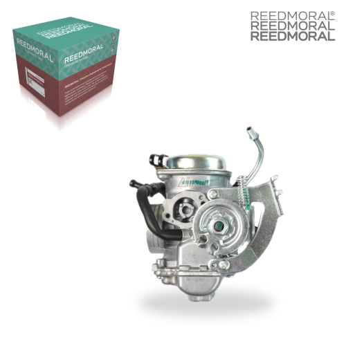 LDH972 REEDMORAL Carburetor Assembly Rayz113 Xa125 X main view