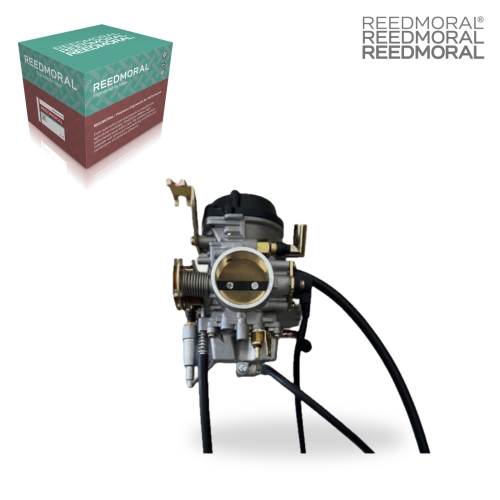 LDH975 REEDMORAL Carburetor Assembly XV1600 XV170 main view