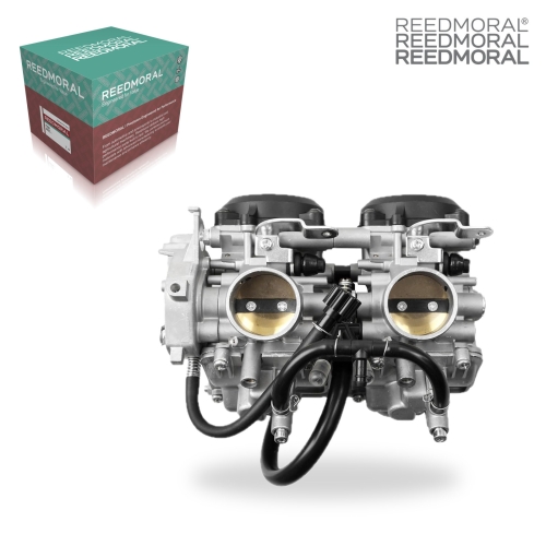 LDH977 REEDMORAL Carburetor Assembly 15003-0095, 15003-1755 main view
