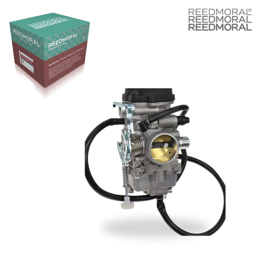 LDH993 REEDMORAL Carburetor Assembly 13200-13F30 main view