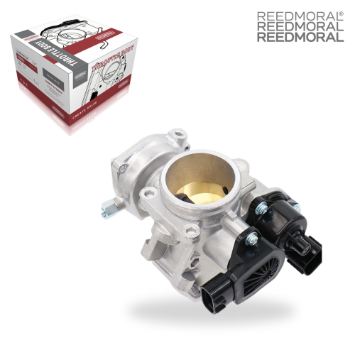 LDJ601 REEDMORAL Electronic Throttle Body Assembly 3131739, 3131684 main view