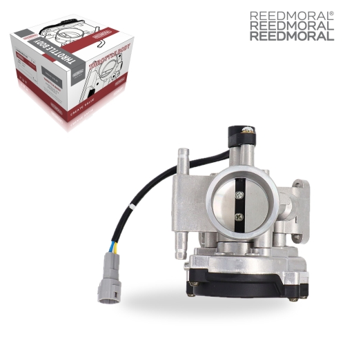 LDJ602A REEDMORAL Electronic Throttle Body Assembly 1202836 main view