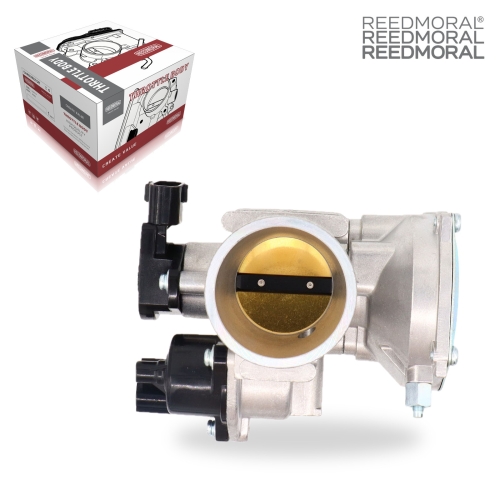 LDJ603B REEDMORAL Electronic Throttle Body Assembly 1204195 main view