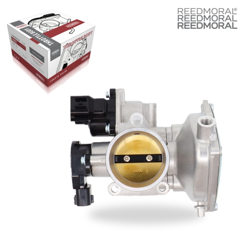 LDJ603C REEDMORAL Electronic Throttle Body Assembly 1205009 main view
