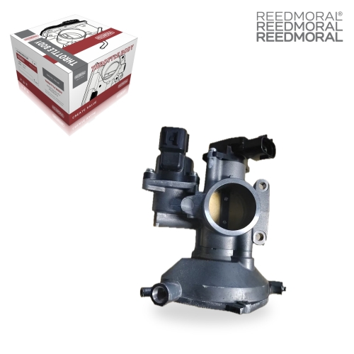 LDJ607 REEDMORAL Electronic Throttle Body Assembly 1204986 main view