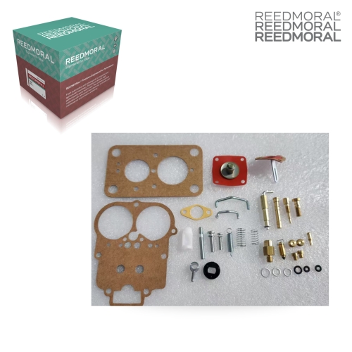 XLH203 REEDMORAL Carburetor Repair Kit 2107-1107980 main view